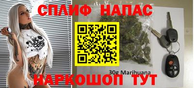 мдпв Будённовск