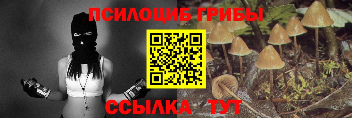 Галлюциногенные грибы прущие грибы  Вход с VPN  Свободный  Псилоцибиновые грибы мухоморы 